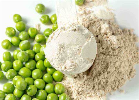 Peas on the left, whey protein powder on the right with a measuring spoon in the middle